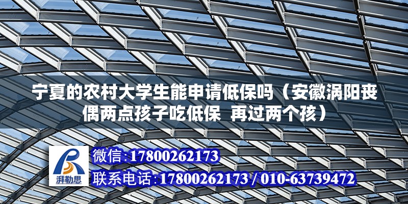 寧夏的農村大學生能申請低保嗎（安徽渦陽喪偶兩點孩子吃低保  再過兩個孩）