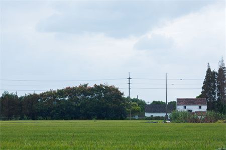 房屋地基下沉有什么危害和后果（地基下沉會對房屋結構產生多方面的影響）