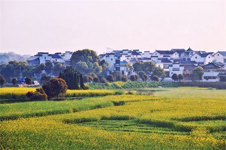 北京房子改造歸哪管理呢（北京房子改造的管理涉及多個層面和部門北京老舊小區改造政策）