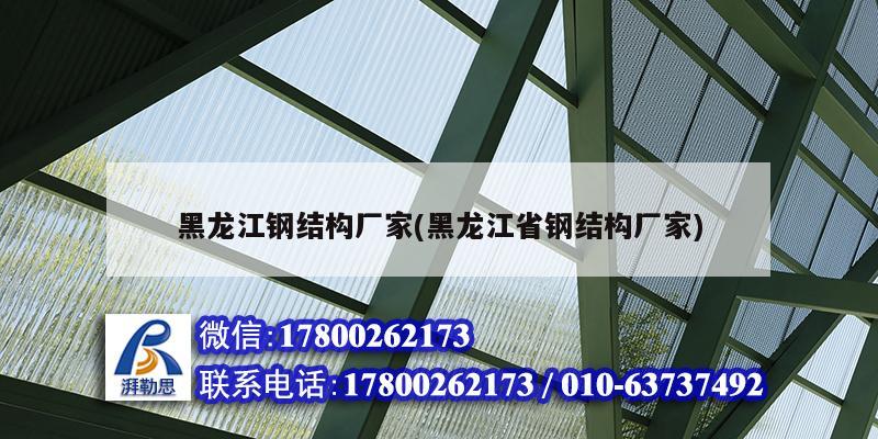 黑龍江鋼結構廠家(黑龍江省鋼結構廠家)